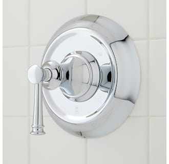 A thumbnail of the Signature Hardware 953956 Alternate Image