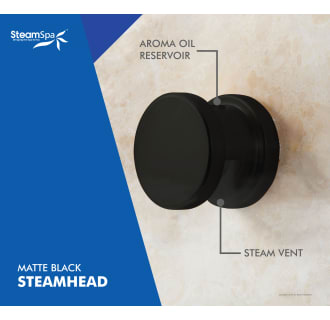 A thumbnail of the SteamSpa BKT1200-A Alternate Image