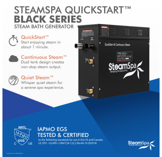 A thumbnail of the SteamSpa BKT450-A Alternate Image