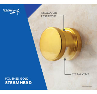 A thumbnail of the SteamSpa IN600 Alternate View