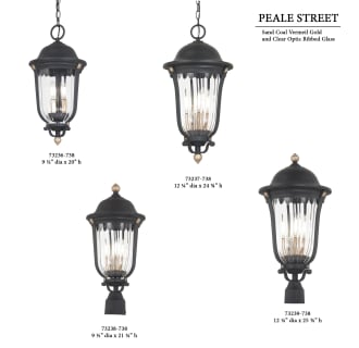A thumbnail of the The Great Outdoors 73239 Peale Street Pendant / Post Collection