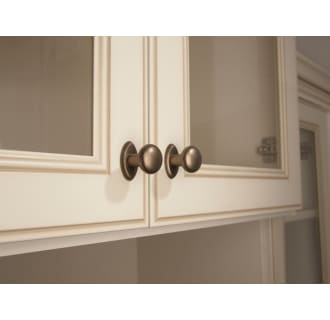 A thumbnail of the Top Knobs M1532 Application View