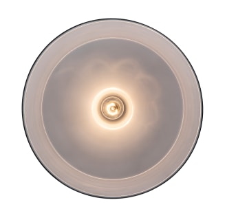 A thumbnail of the Trans Globe Lighting 1100 Alternate Image