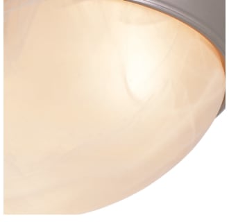 A thumbnail of the Trans Globe Lighting 57702 Alternate Image