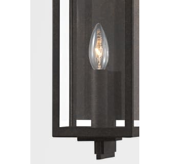 A thumbnail of the Troy Lighting B5511 Alternate Image