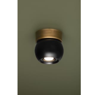 A thumbnail of the Troy Lighting C1406 Alternate Image