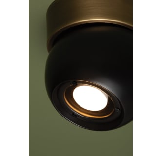 A thumbnail of the Troy Lighting C1406 Alternate Image