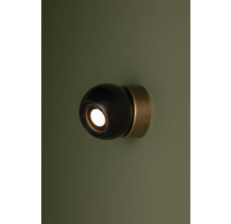 A thumbnail of the Troy Lighting C1406 Alternate Image