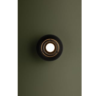 A thumbnail of the Troy Lighting C1406 Alternate Image