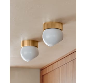 A thumbnail of the Troy Lighting C1406 Alternate Image