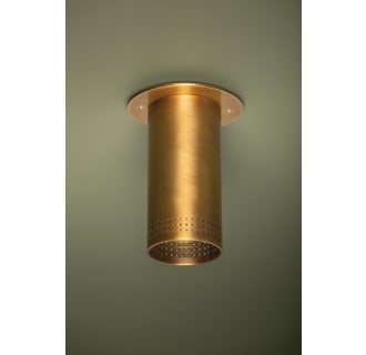 A thumbnail of the Troy Lighting C1505 Alternate Image