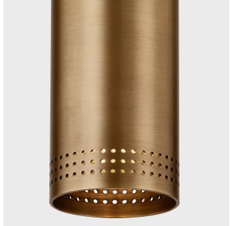 A thumbnail of the Troy Lighting C1505 Alternate Image