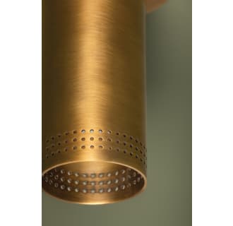 A thumbnail of the Troy Lighting C1505 Alternate Image