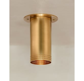 A thumbnail of the Troy Lighting C1505 Alternate Image