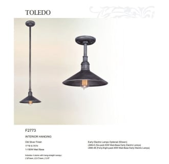 A thumbnail of the Troy Lighting F2773 Infographic