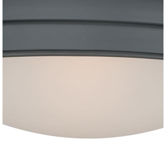 A thumbnail of the Vaxcel Lighting C0113 Alternate View