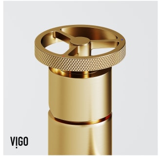 A thumbnail of the Vigo VG01046K1 Alternate Image