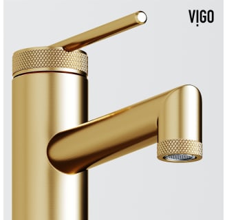 A thumbnail of the Vigo VG01049K1 Alternate Image
