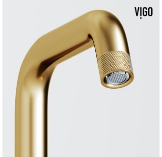 A thumbnail of the Vigo VG01051K1 Alternate Image