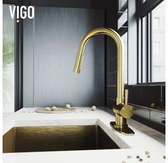 A thumbnail of the Vigo VG02008K1 Alternate View