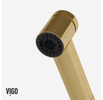 A thumbnail of the Vigo VG02021 Alternate Image