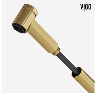 A thumbnail of the Vigo VG02021 Alternate Image