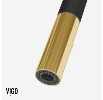 A thumbnail of the Vigo VG02029 Alternate Image