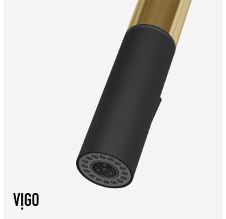 A thumbnail of the Vigo VG02029 Alternate Image