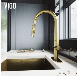 A thumbnail of the Vigo VG02029K1 Alternate View