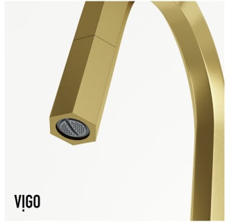 A thumbnail of the Vigo VG02034K1 Alternate Image