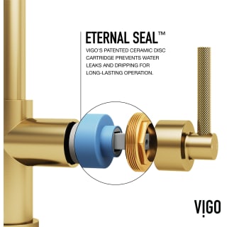 A thumbnail of the Vigo VG02038 Alternate Image