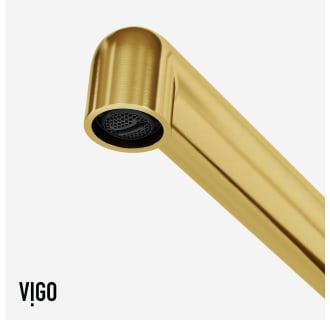 A thumbnail of the Vigo VG02053 Alternate Image