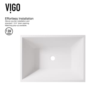 A thumbnail of the Vigo VGT2055 Alternate Image