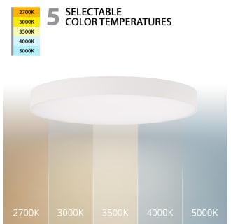 A thumbnail of the WAC Lighting FM-240508-9CS Alternate Image