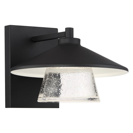 A large image of the Access Lighting 20060LEDDMG Black / Seeded