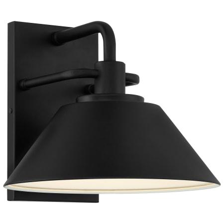 A large image of the Access Lighting 20131LEDDMG Black