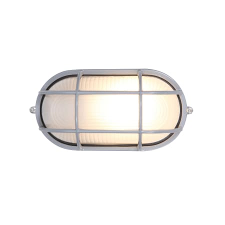 A large image of the Access Lighting 20290 Satin / Frosted