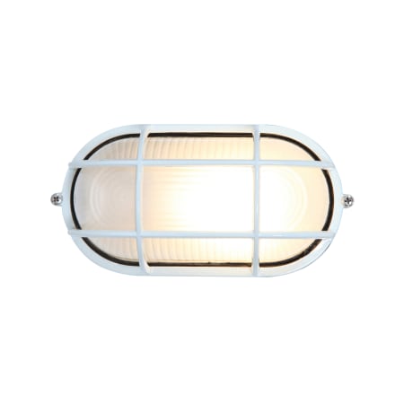 A large image of the Access Lighting 20290 White / Frosted