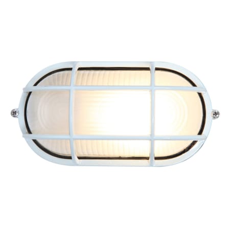 A large image of the Access Lighting 20290LEDDLP/FST White