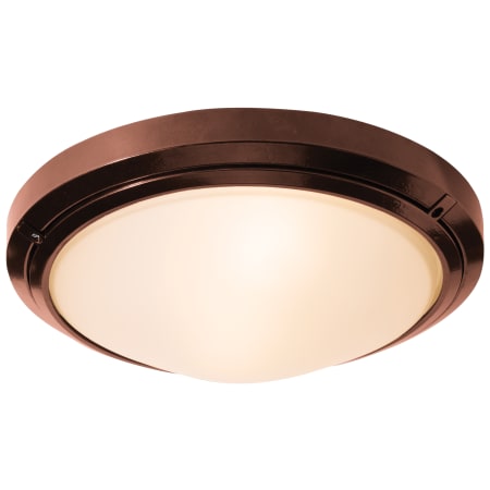 A large image of the Access Lighting 20356-LED Bronze / Frosted