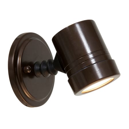 A large image of the Access Lighting 23025LEDMGLP Bronze / Clear
