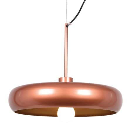 A large image of the Access Lighting 23882LEDDLP Copper / Gold