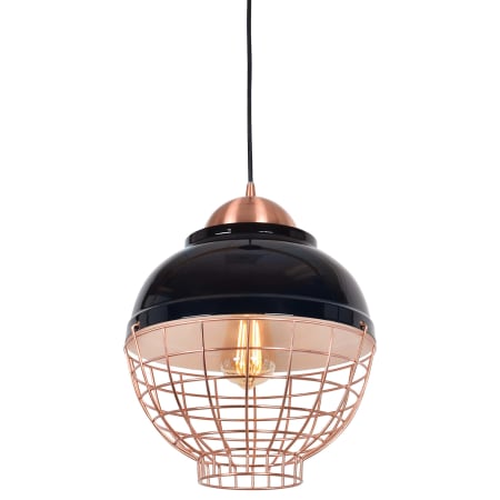 A large image of the Access Lighting 24881 Shiny Black / Copper