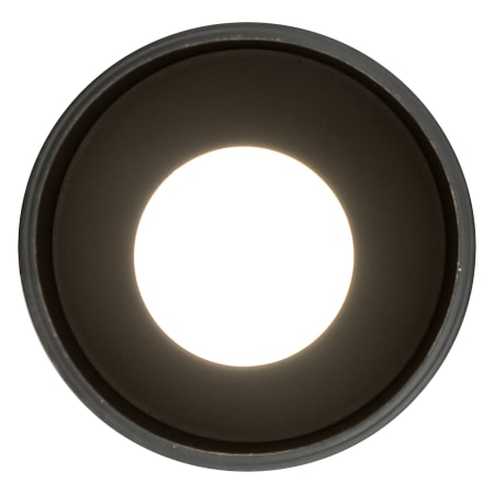 A large image of the Access Lighting 29000LEDDLP Alternate Image