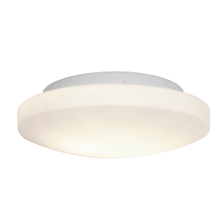 A large image of the Access Lighting 50160 White / Opal
