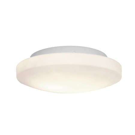A large image of the Access Lighting 50160LEDDLP White / Opal