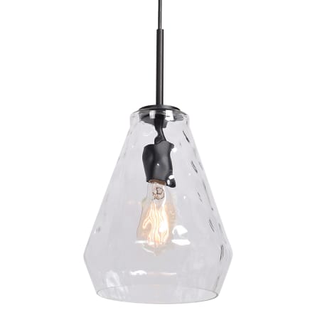 A large image of the Access Lighting 50937LEDDLP Black / Clear