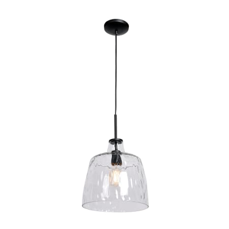 A large image of the Access Lighting 50938/CLR Black