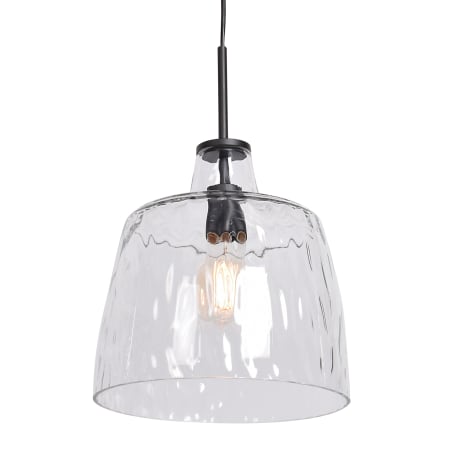 A large image of the Access Lighting 50938LEDDLP Black / Clear