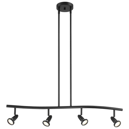 A large image of the Access Lighting 52206LEDDLP Black